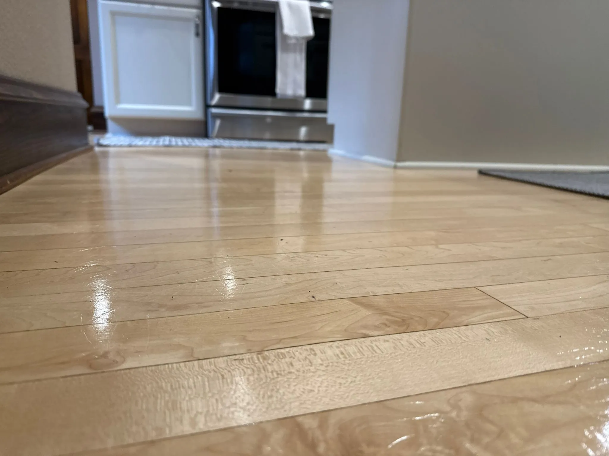 Residential Cleaning